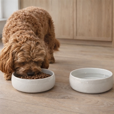 Keramikskål til hunden